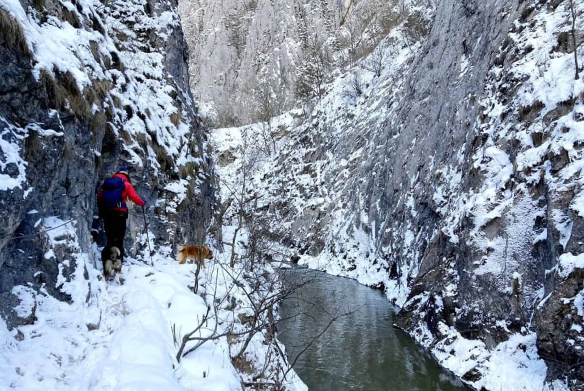 gorges de turda