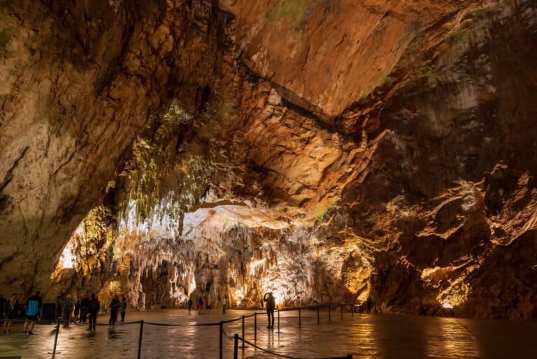 Excursion d’une journée aux grottes de Postojna