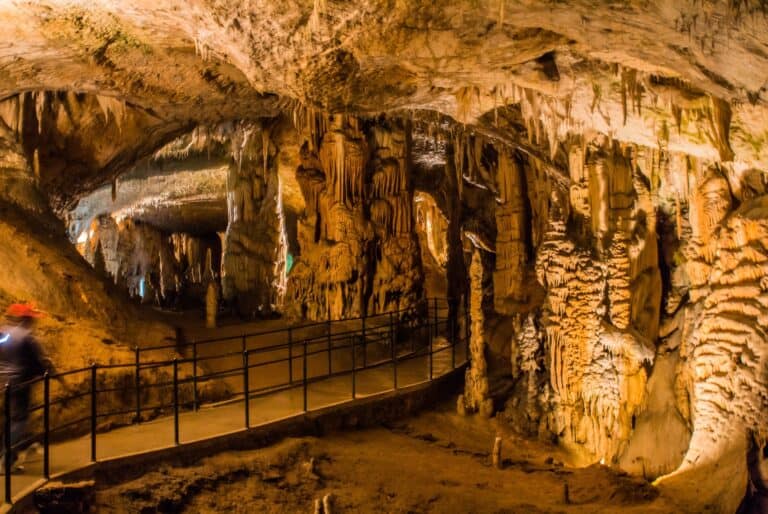 Excursion d’une journée aux grottes de Škocjan