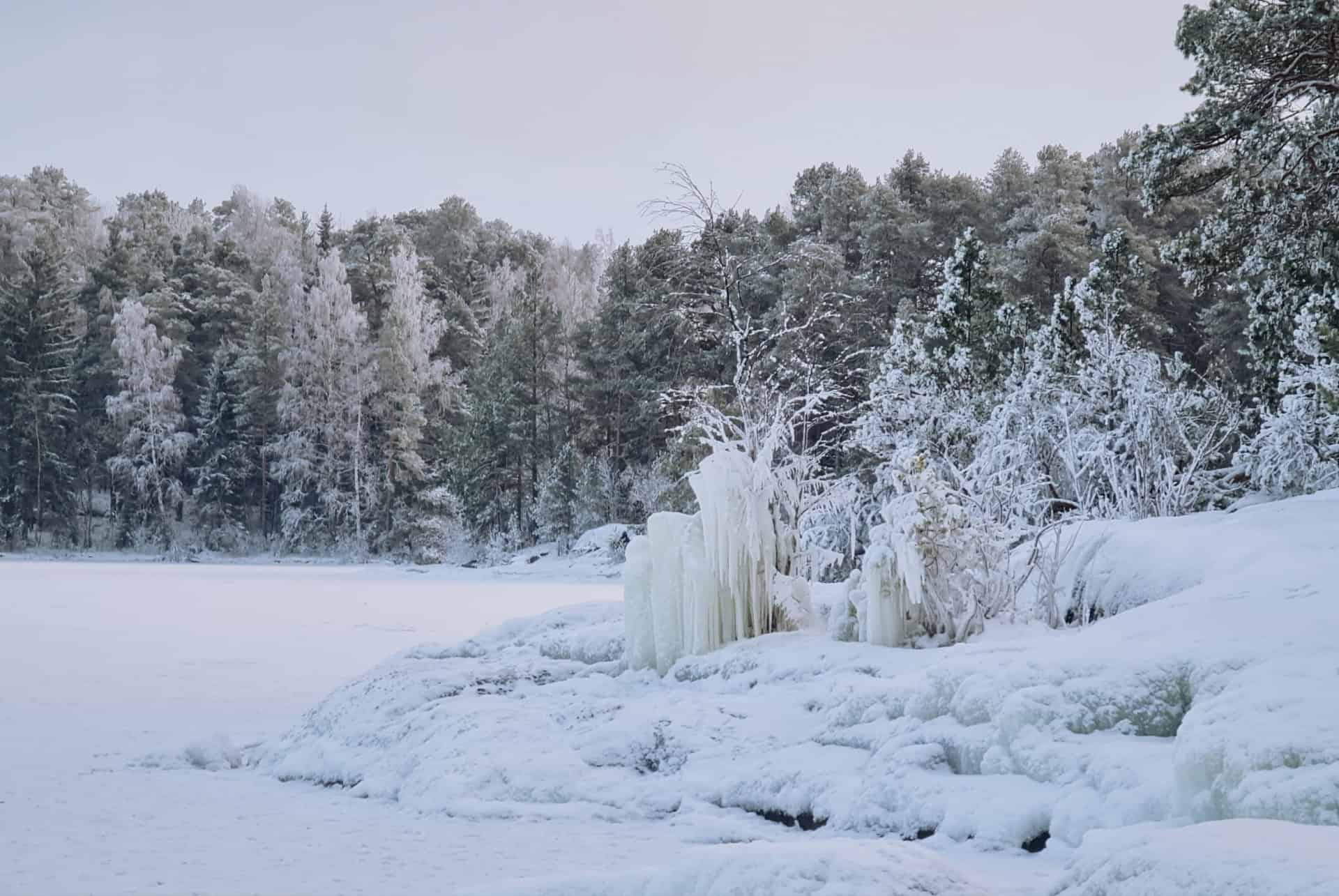 lac nasijarvi