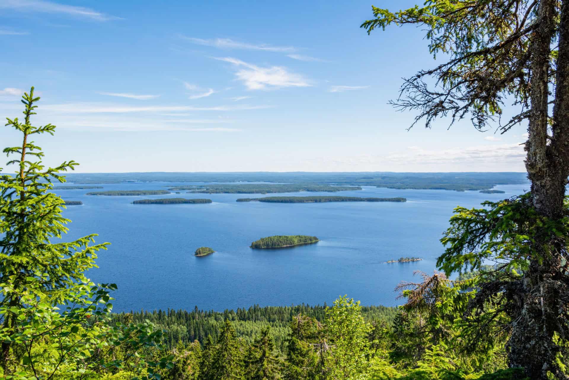 lac pielinen