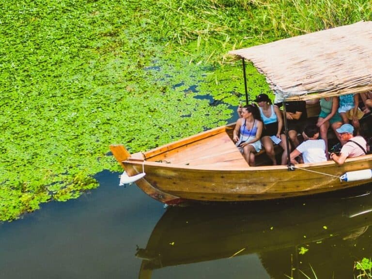 Visite guidée en bateau touristique avec rafraîchissements