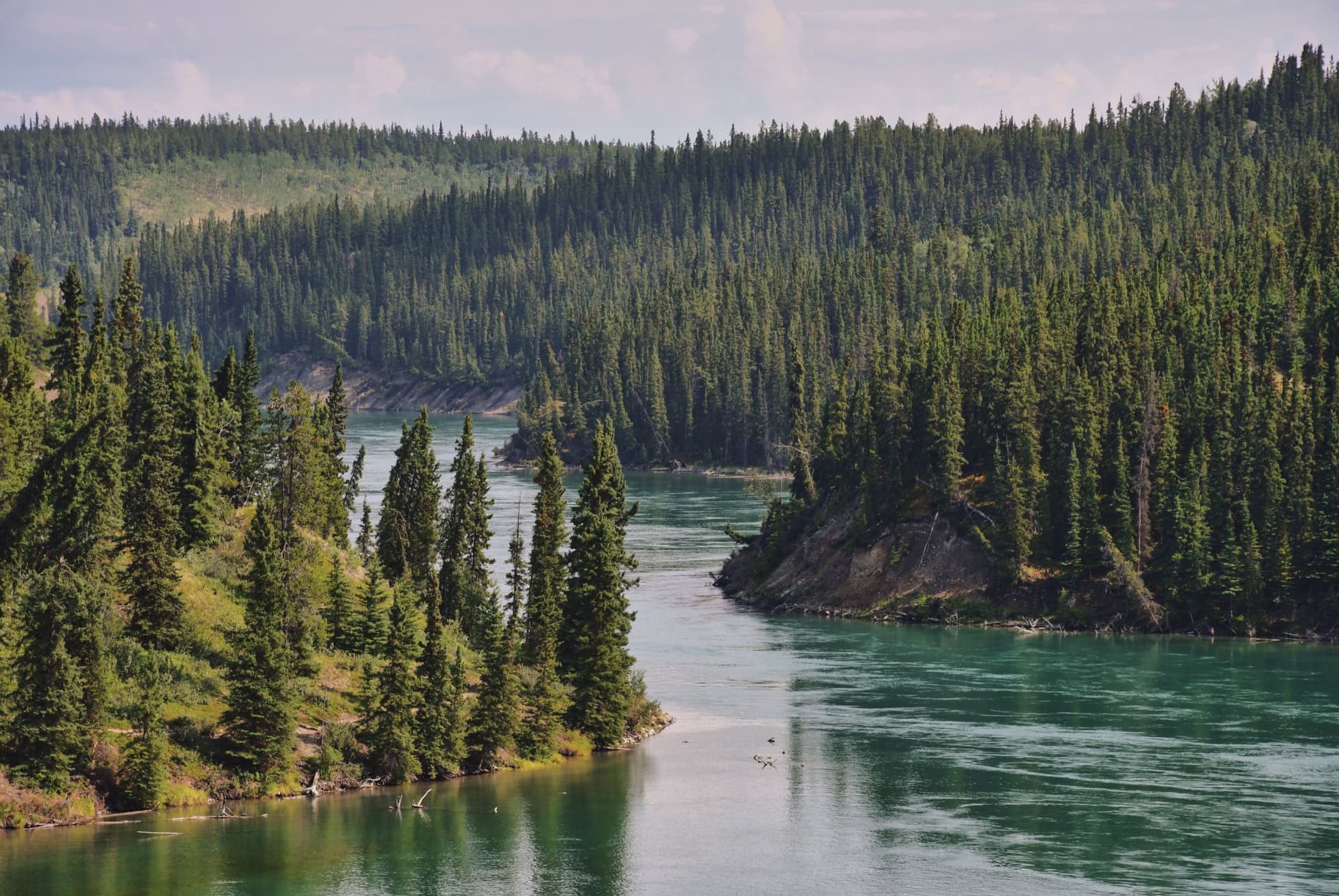 miles canyon yukon