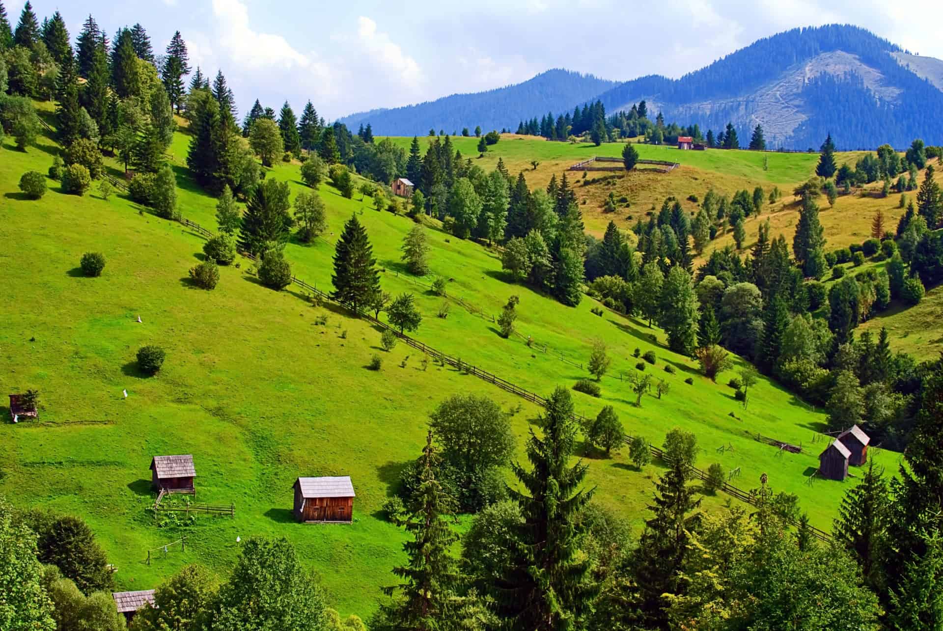 ou aller en roumanie paysage de la bucovine