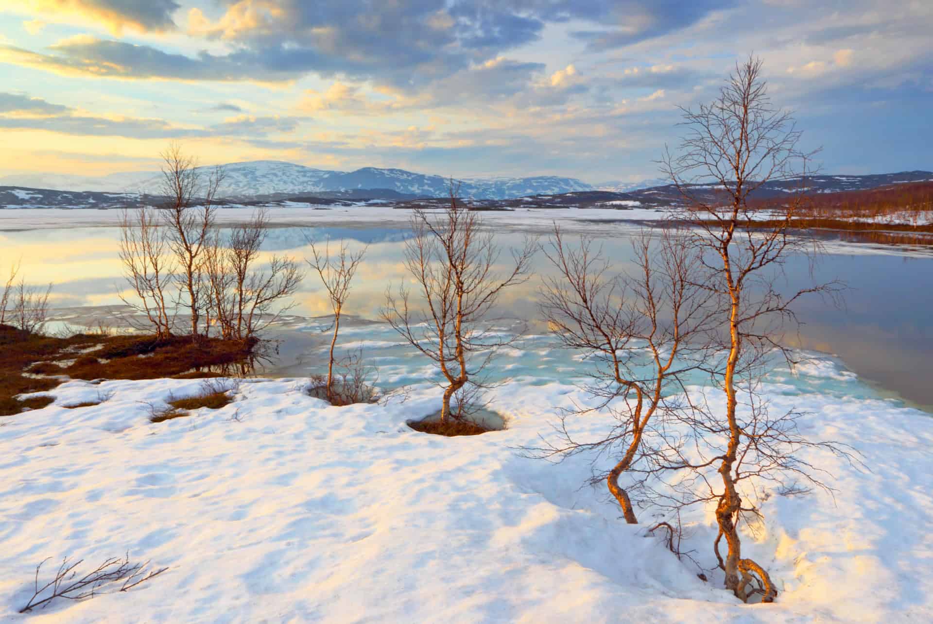 parc national abisko