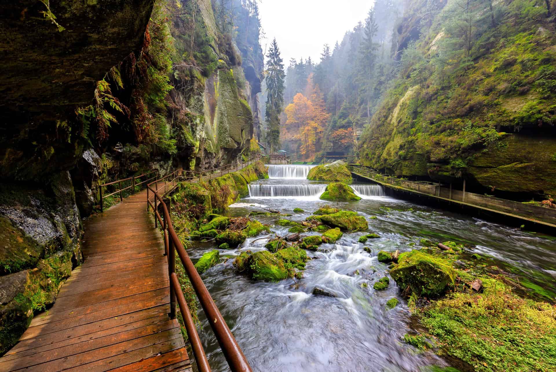 parc national de la suisse bohemienne