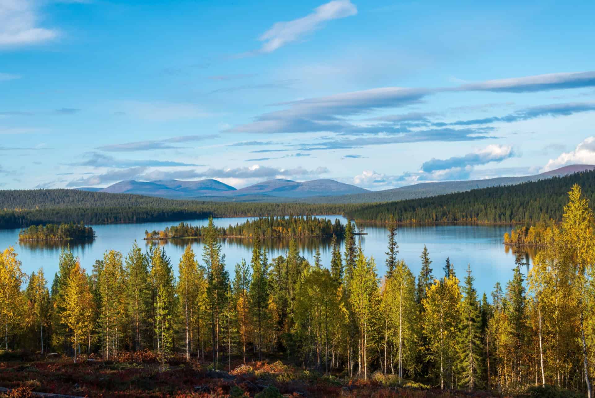 parc national de pallas-yllastunturi