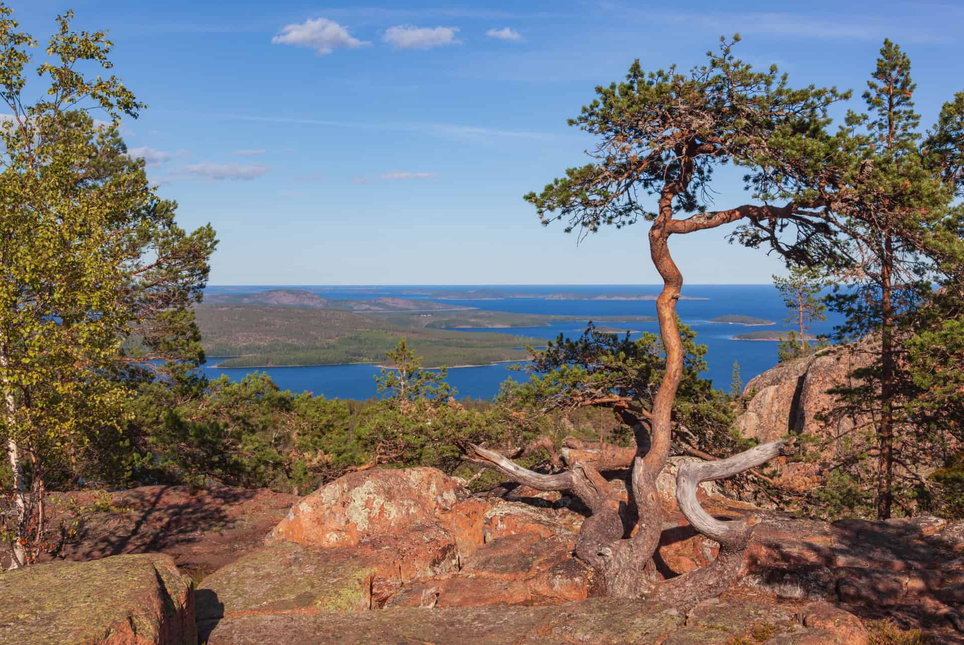 parc national skuleskogen