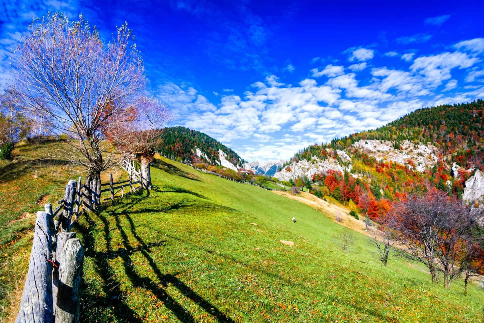 paysage parc national piatra craiului