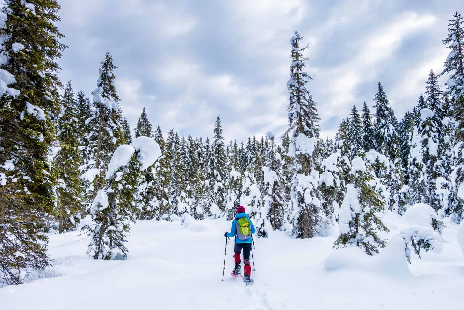 raquettes dans les alpes slovenes