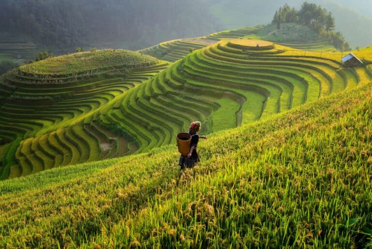 Treck dans les montagnes Sapa