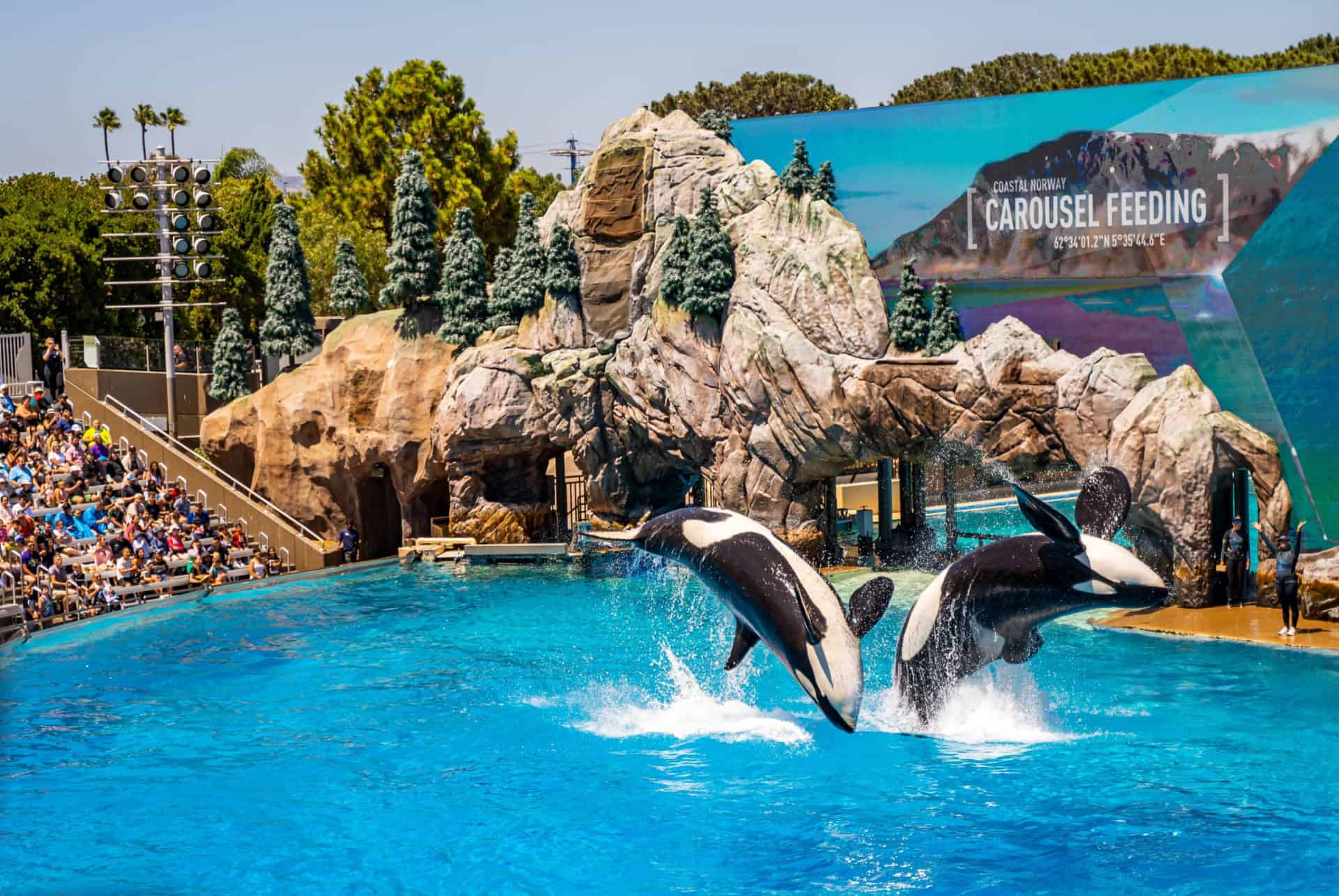 sea world