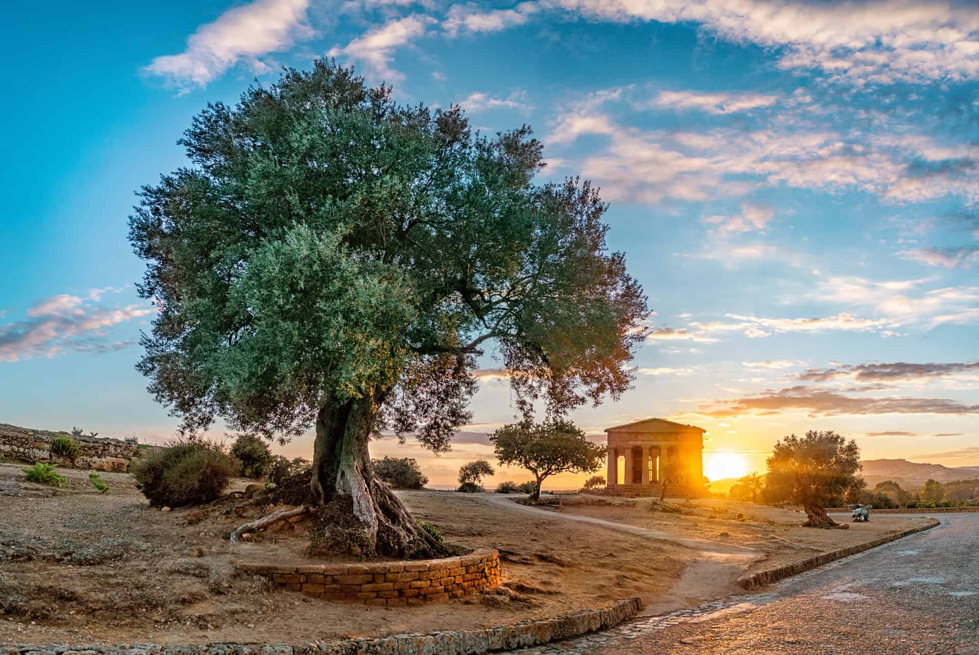 vallee des temples a agrigente sicile