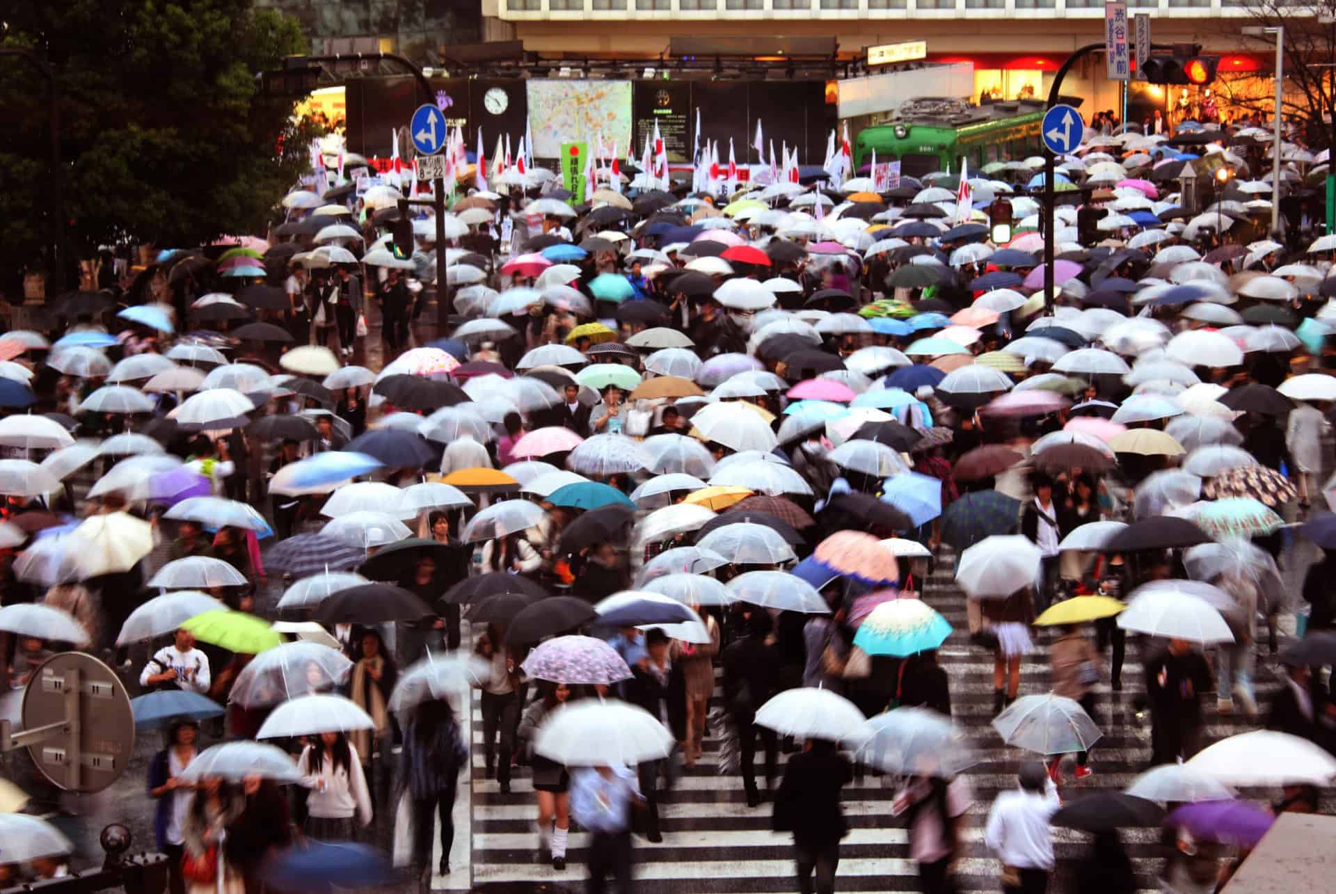 shibuya