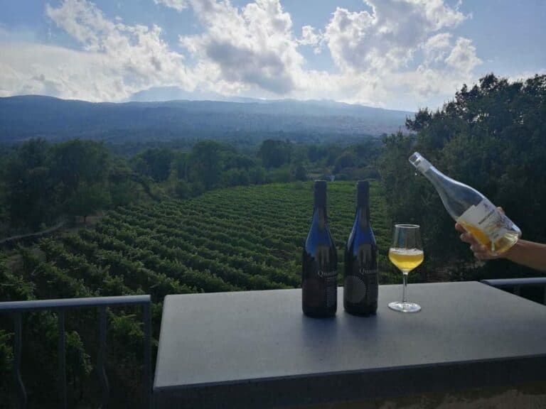 Circuit des vignobles de l'Etna depuis Taormina