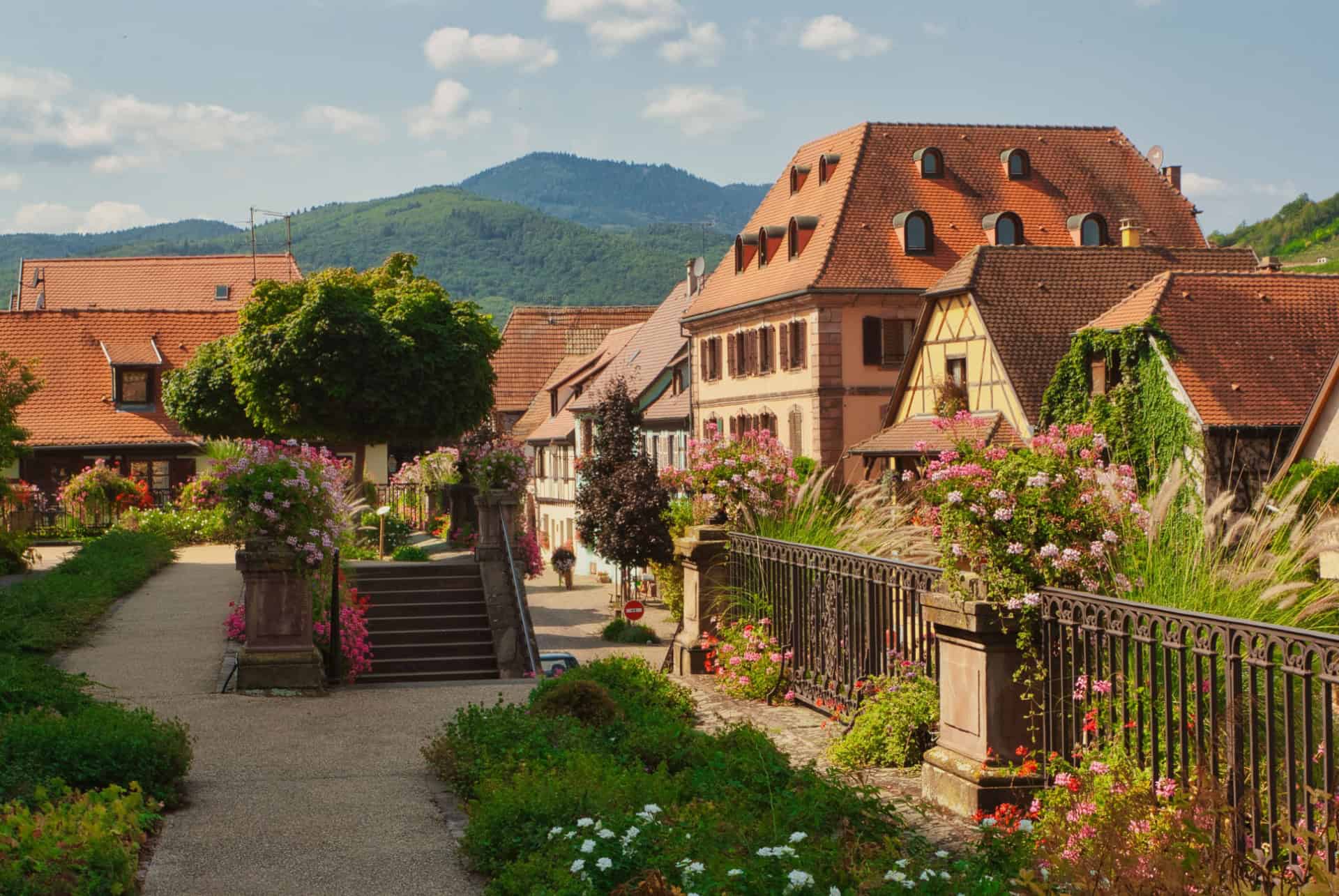 bergheim plus beaux villages alsace