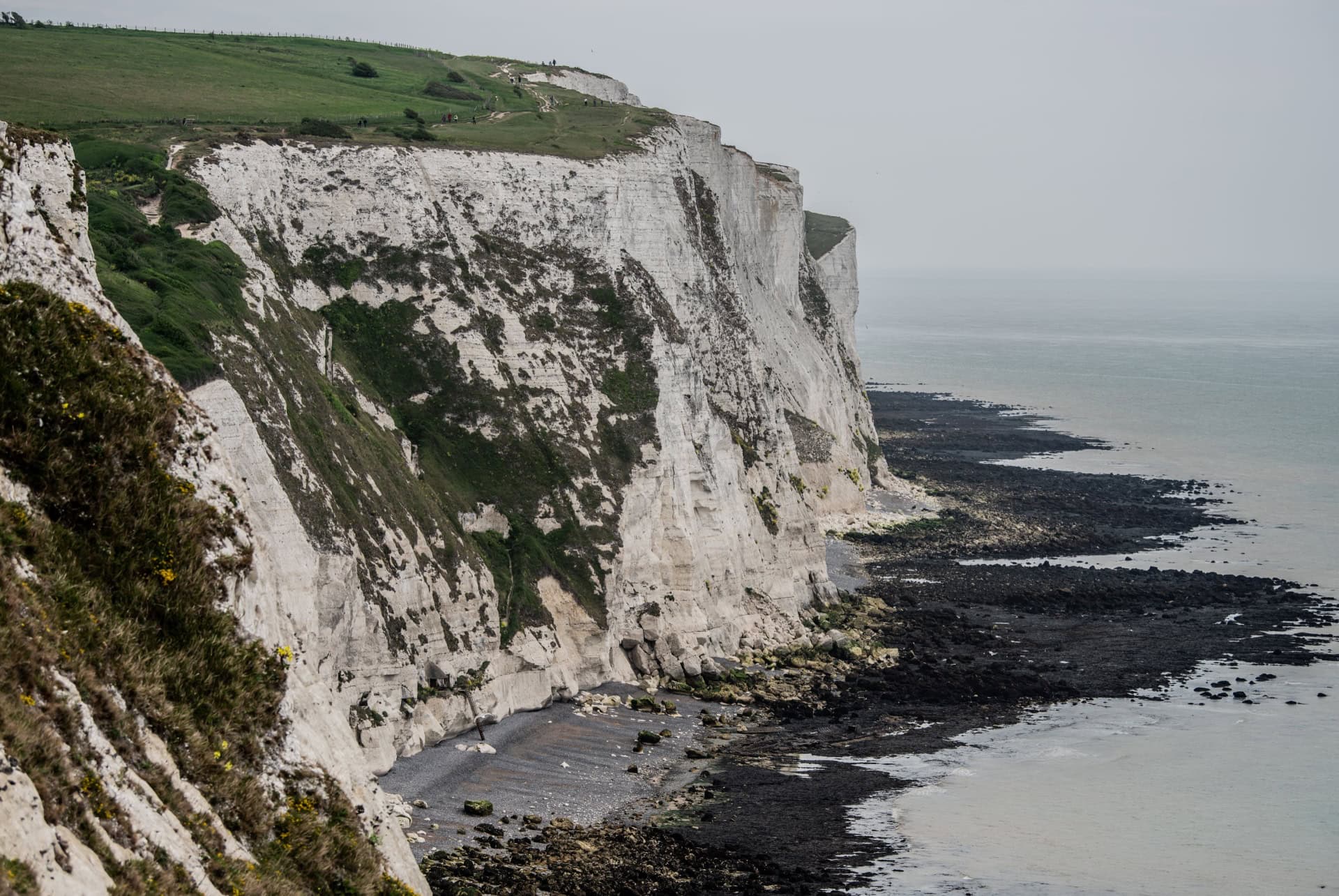 falaises blanches du douvres