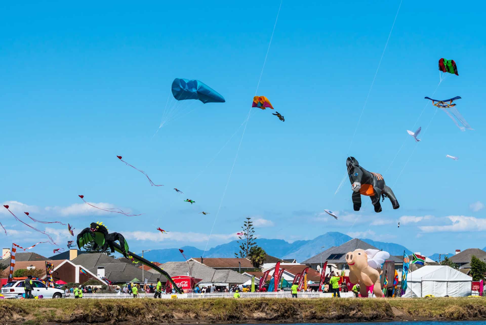 international kite festival