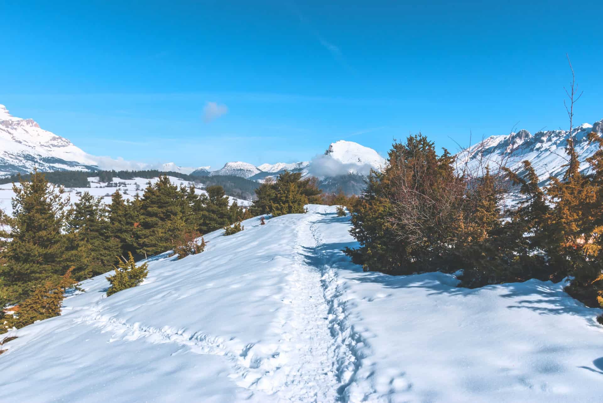 joue du loup hautes alpes