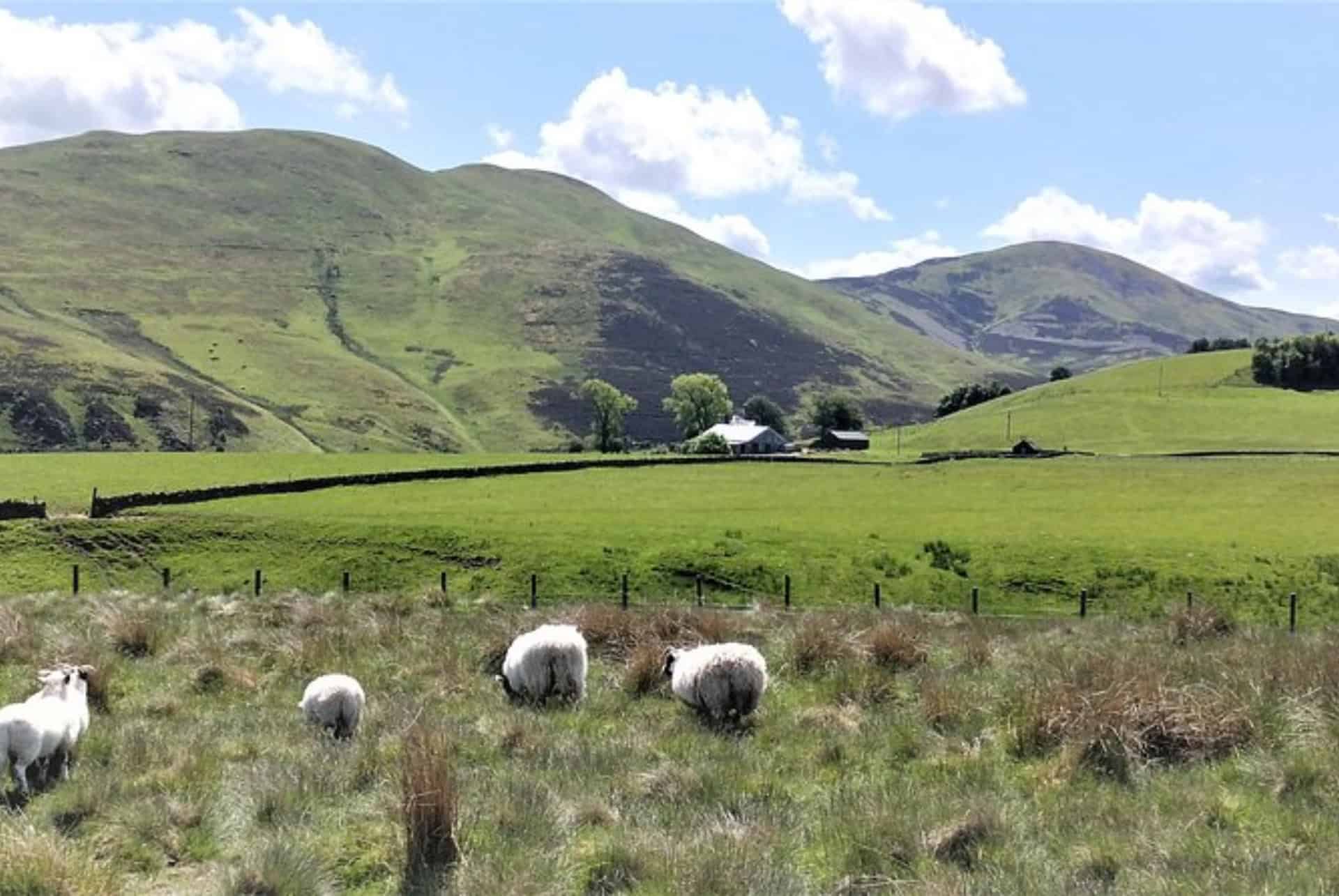 pentlands hills randonnnée