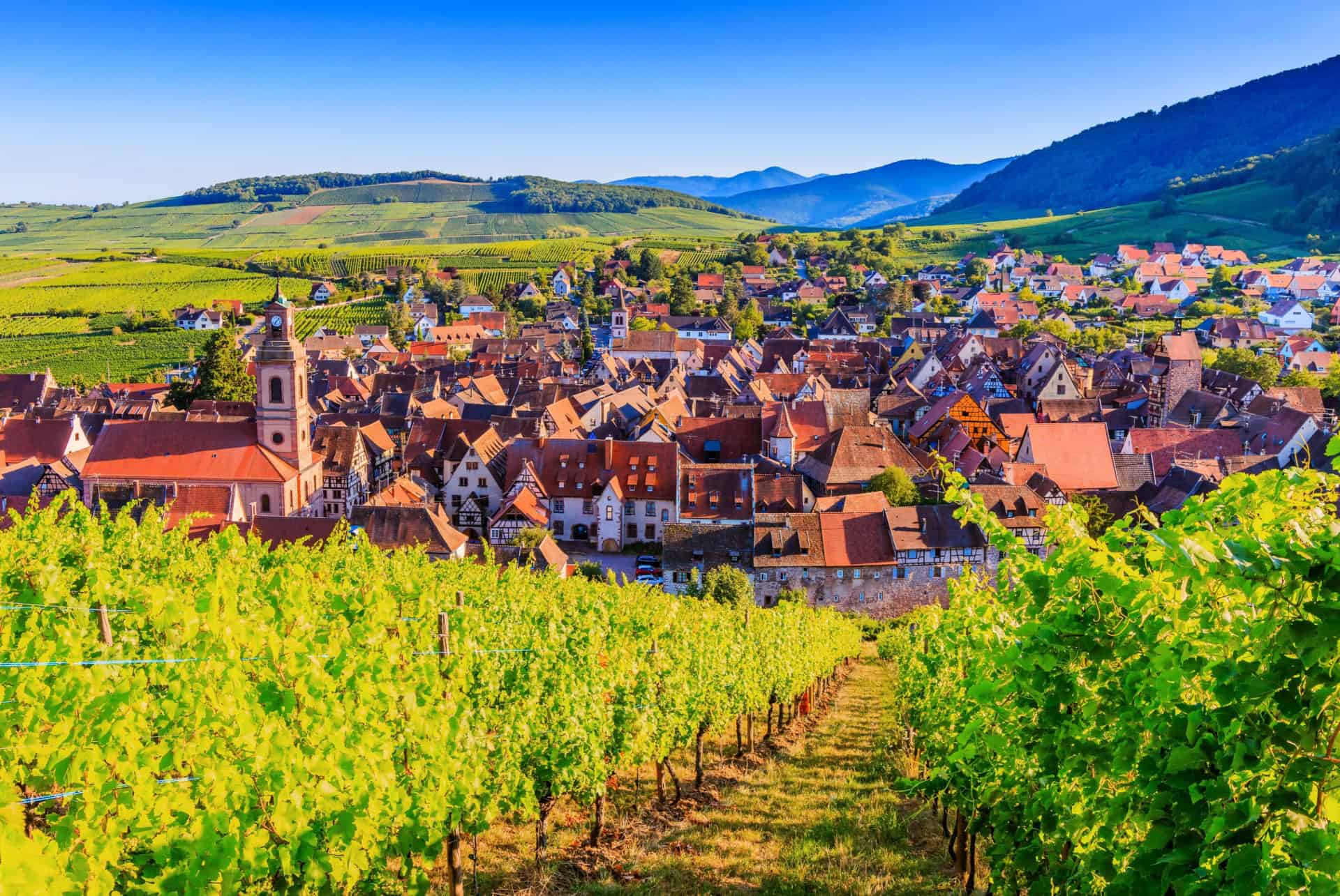 riquewihr route des vins alsace