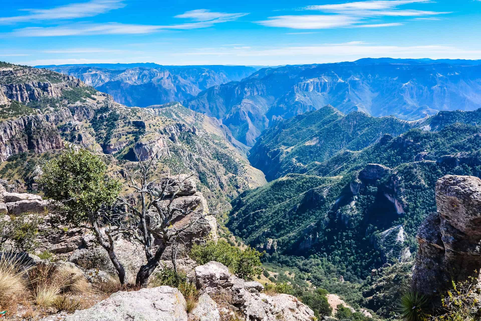 sierra madre à chihuahua