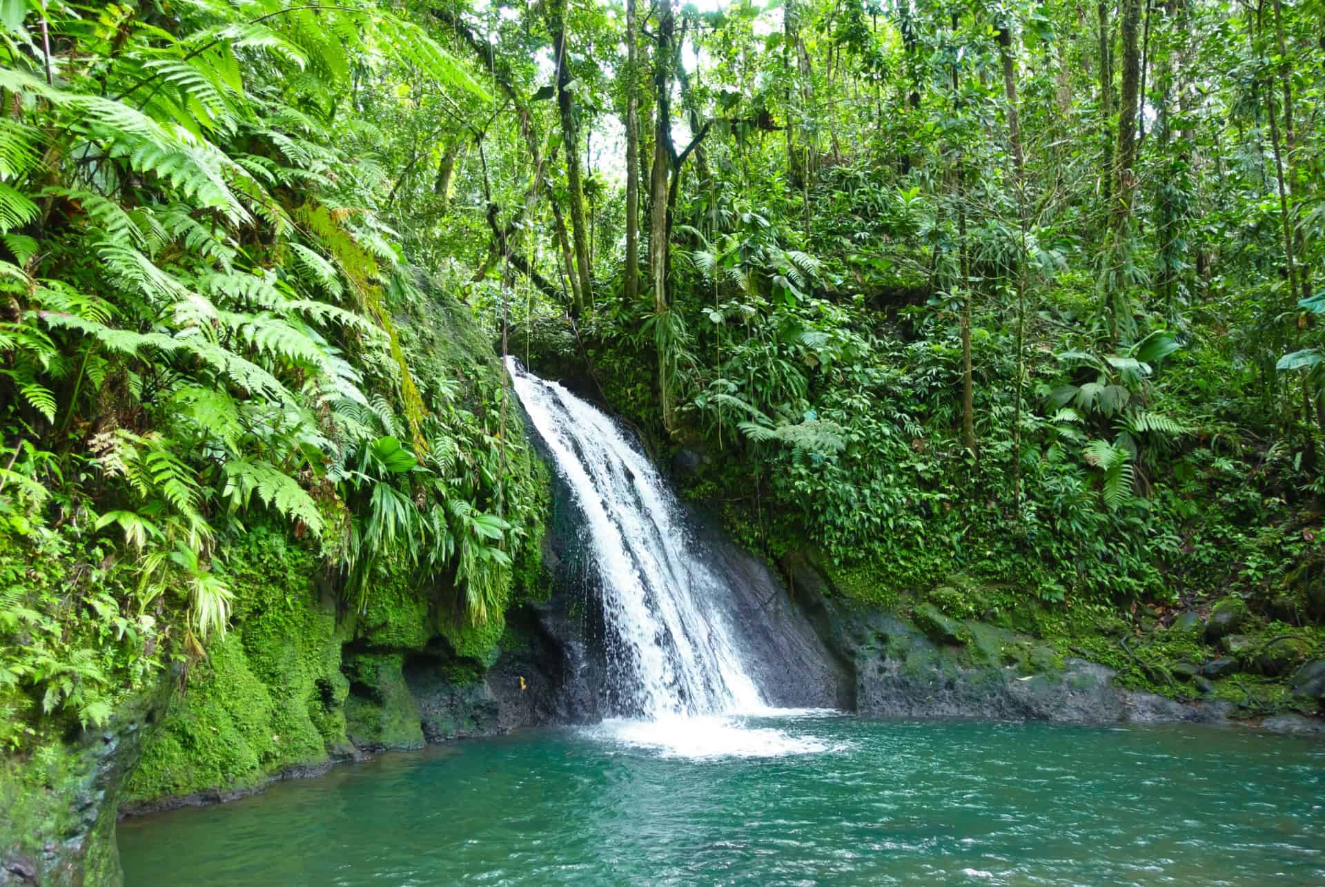 Cascade aux Ecrevisses à basse terre guadeloupe