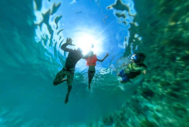 Excursion d'une journée aux Maldives africaines avec déjeuner