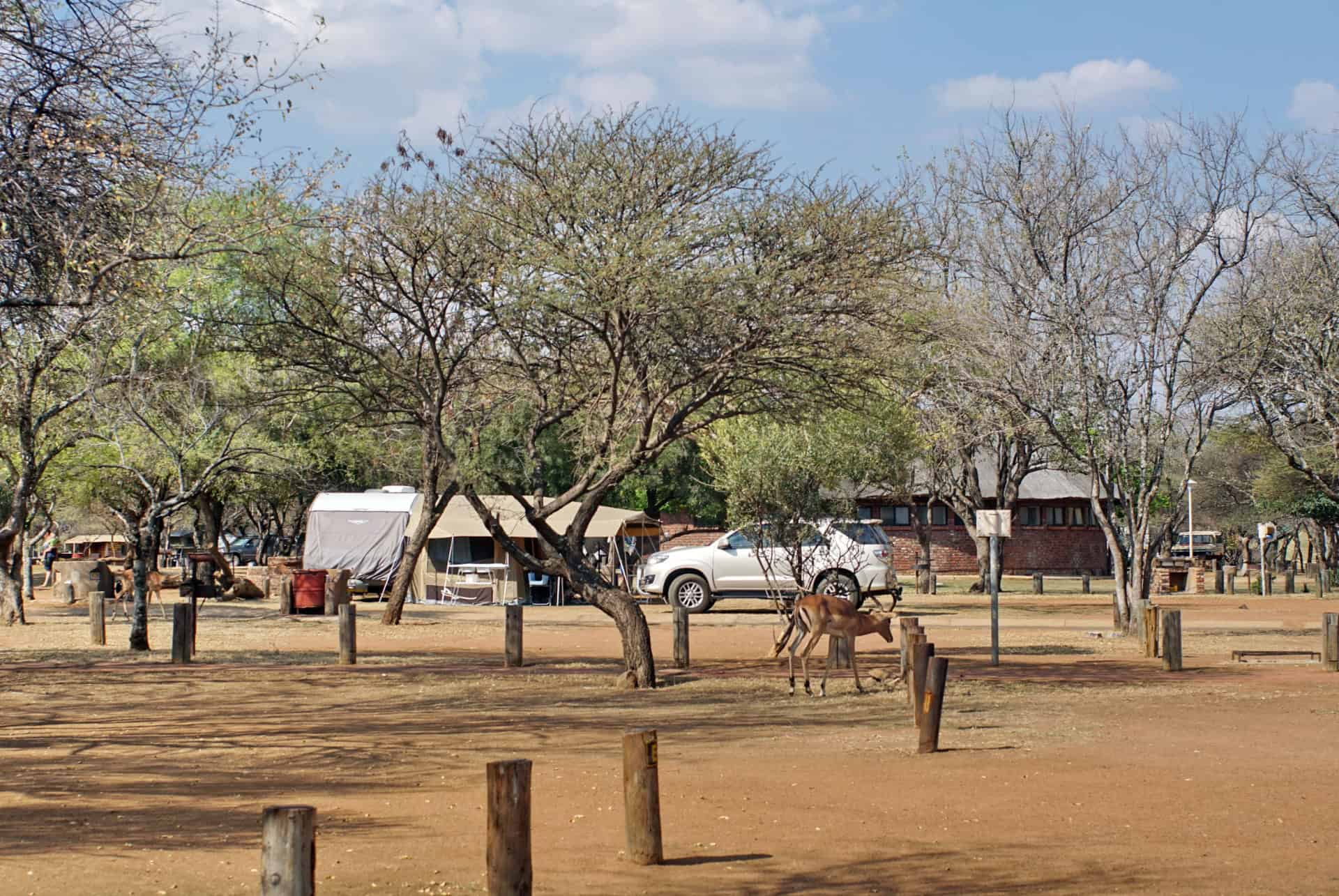 camping au pilanesberg national park