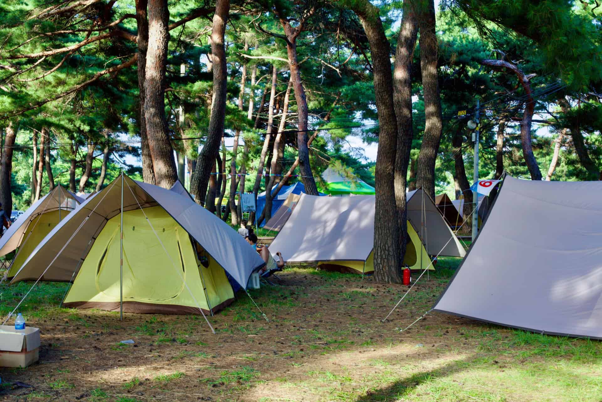 camping dans la ville de gangneung