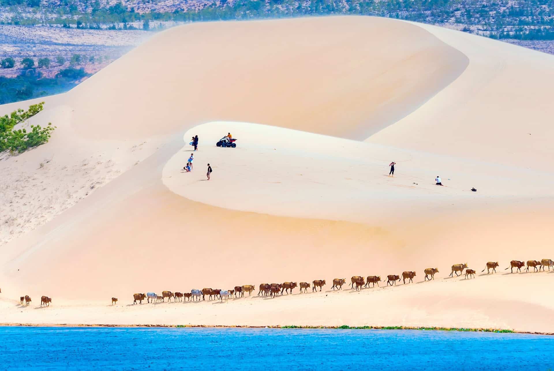 dunes de sables de mui ne vietnam