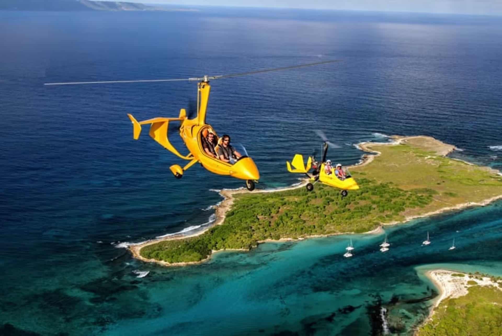 gyrocptère que faire à guadeloupe