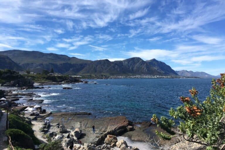 Depuis Le Cap : visite d’une journée à Hermanus