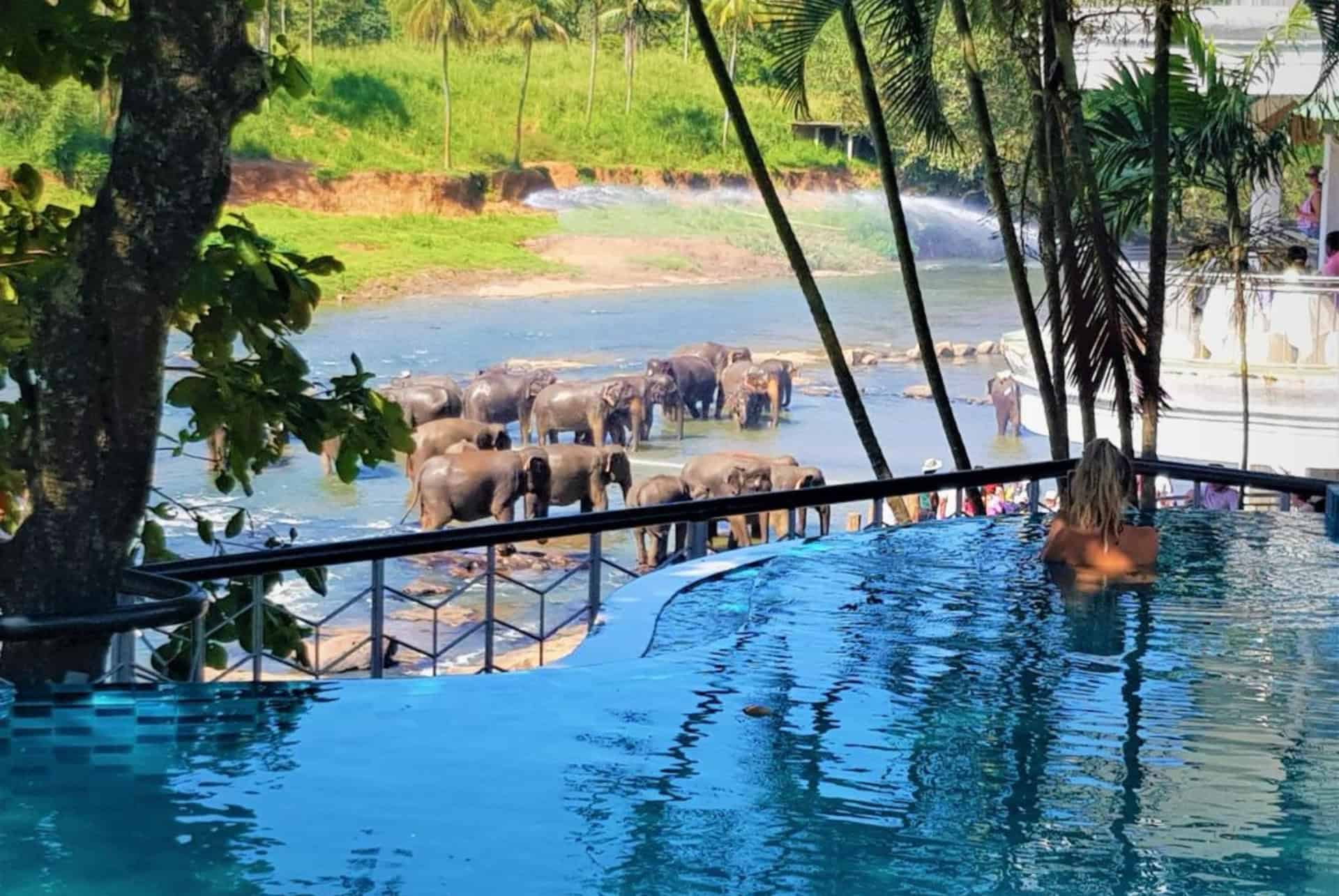 hotel elephant park piscine