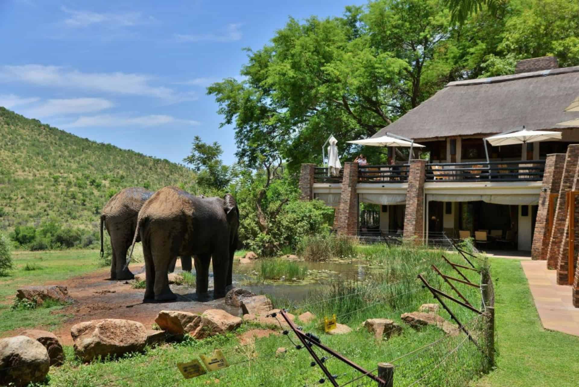 kwa maritane lodge au coeur de pilanesberg