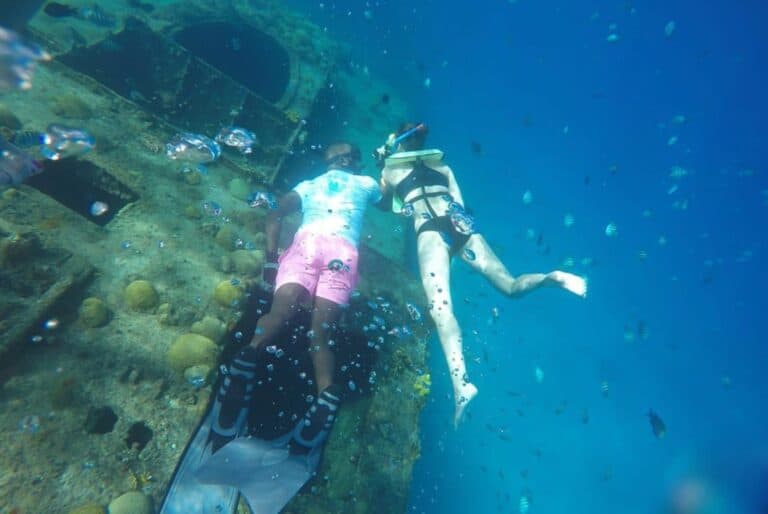 Croisière avec plongée pour observer les tortues et découvrir les épaves de la Barbade