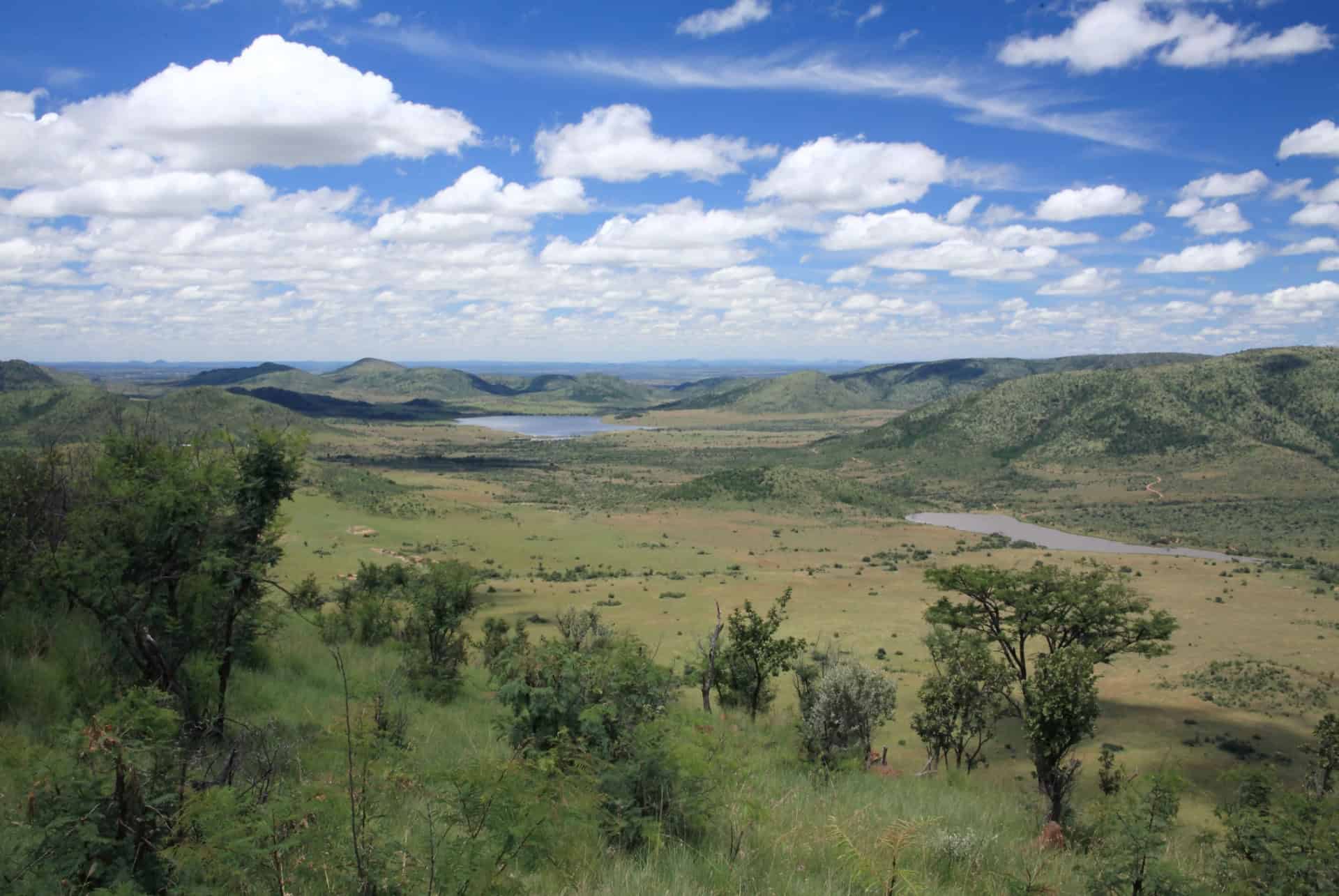 paysage pilanesberg national park