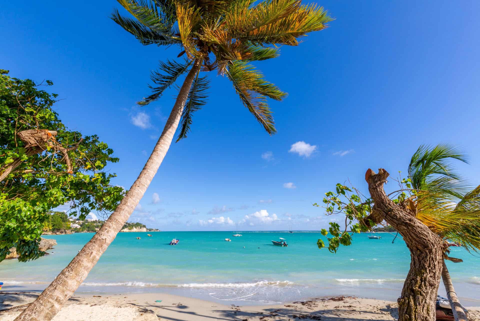 plage datcha que faire pointe a pitre