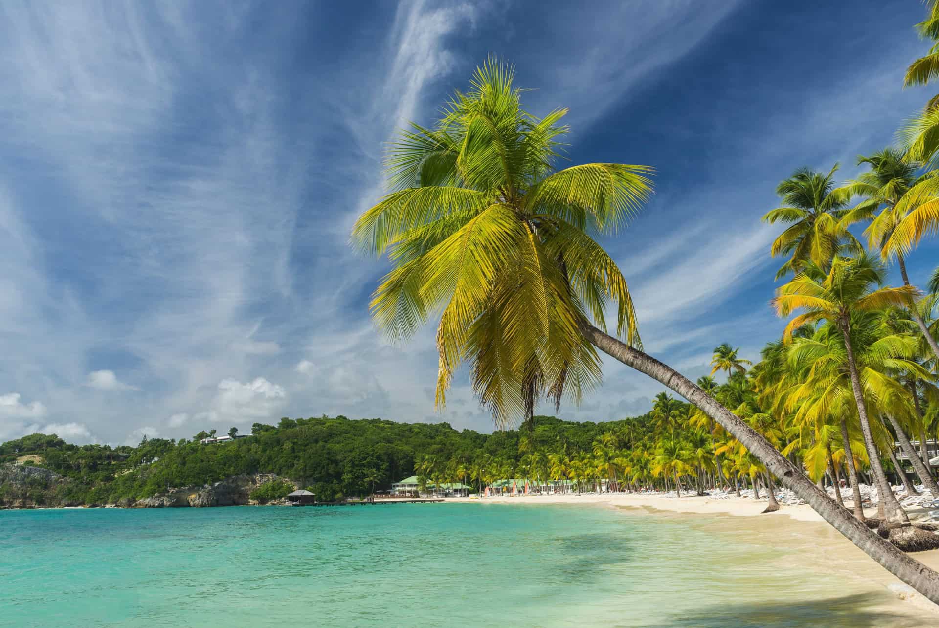 plage de la Caravelle à Sainte Anne guadeloupe