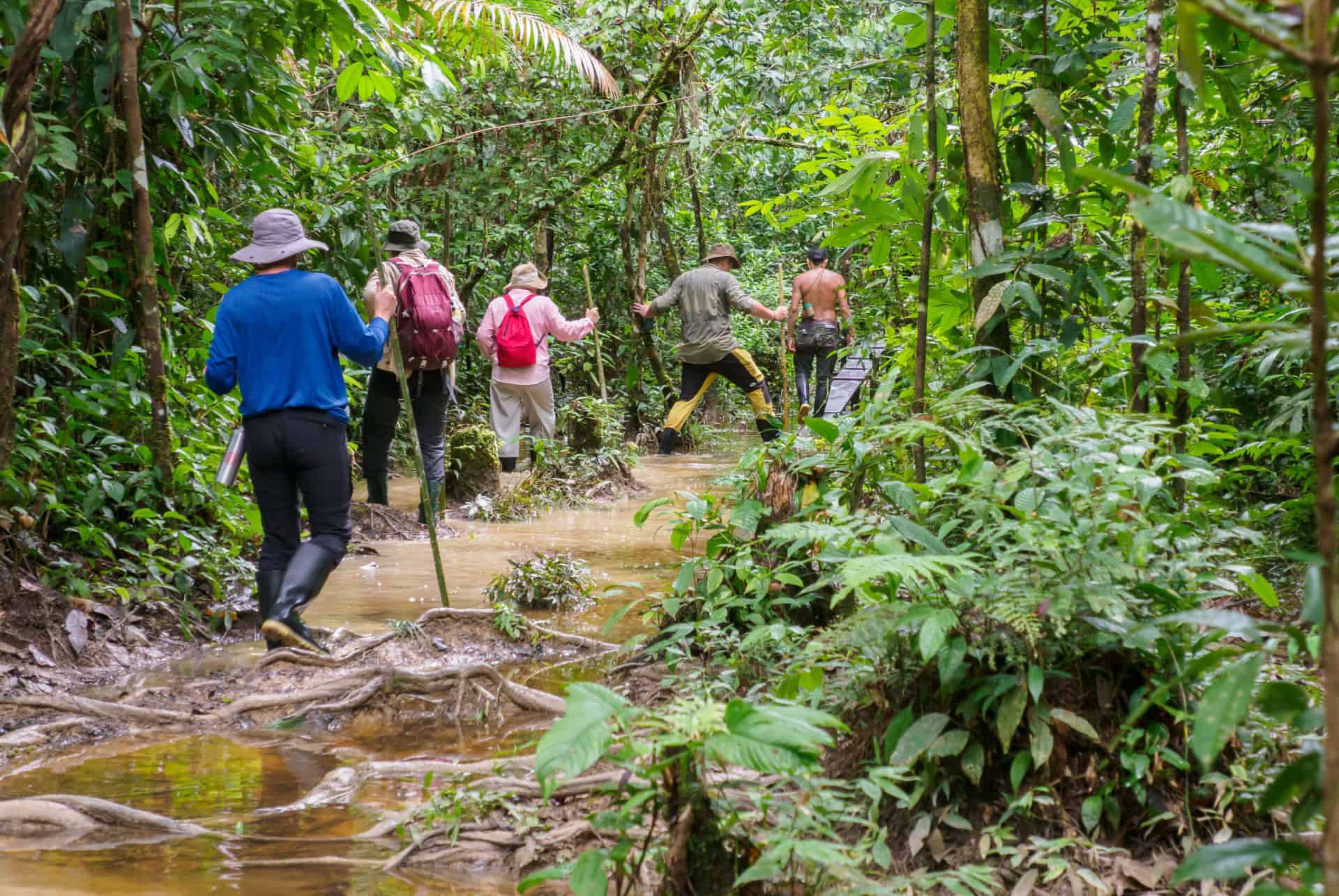 amazonie colombienne leticia