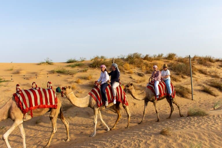 Une journée toute comprise dans le désert de Dubaï