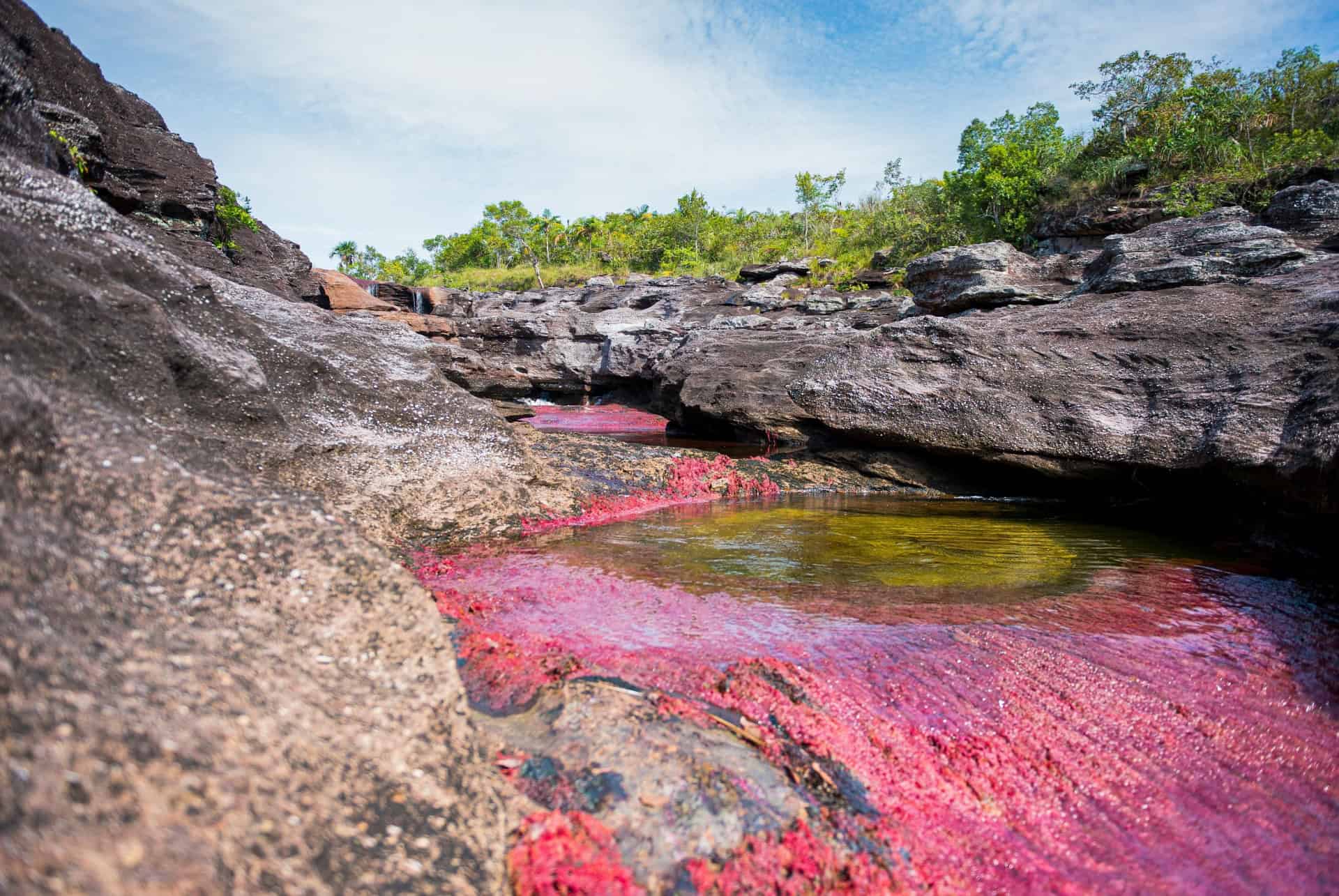 cano cristales