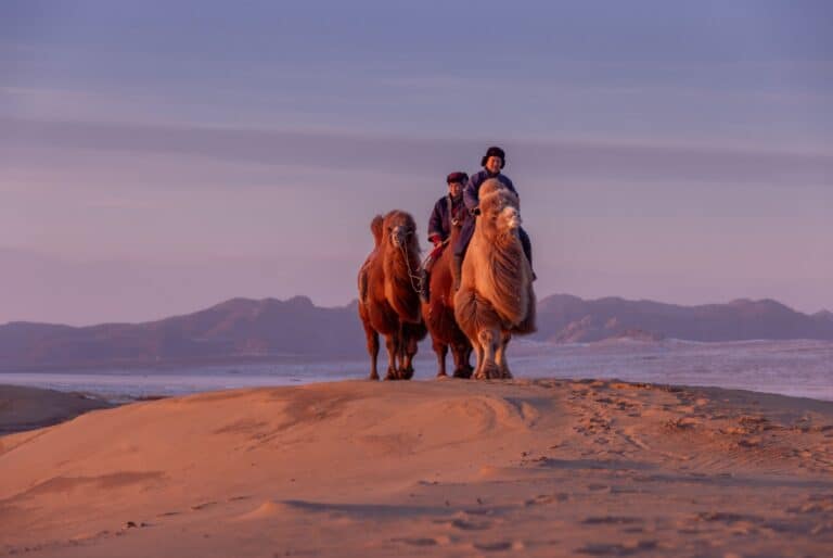 Excursion dans le désert du Semi Gobi et balade à dos de chameau