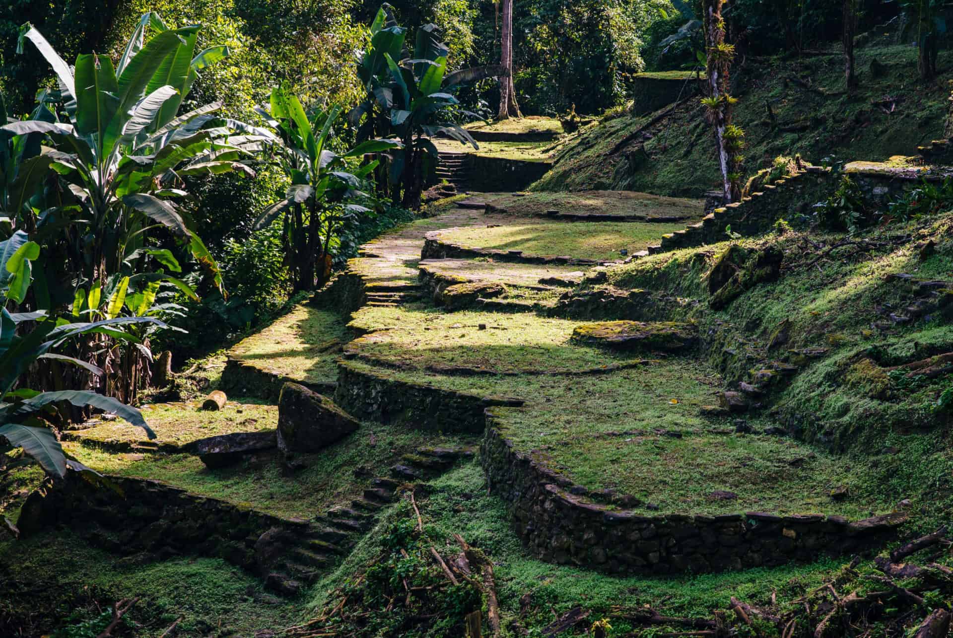 cite perdue que faire colombie