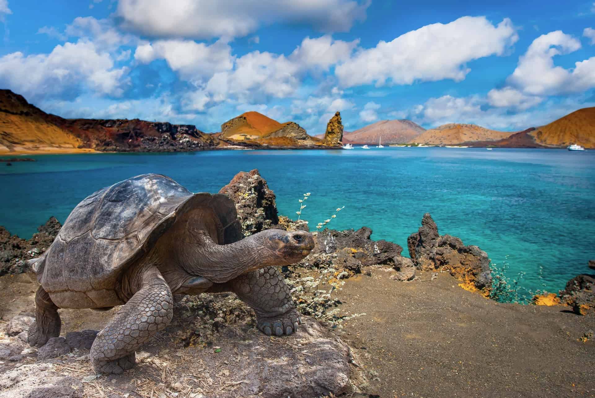 iles galapagos quand partir en equateur