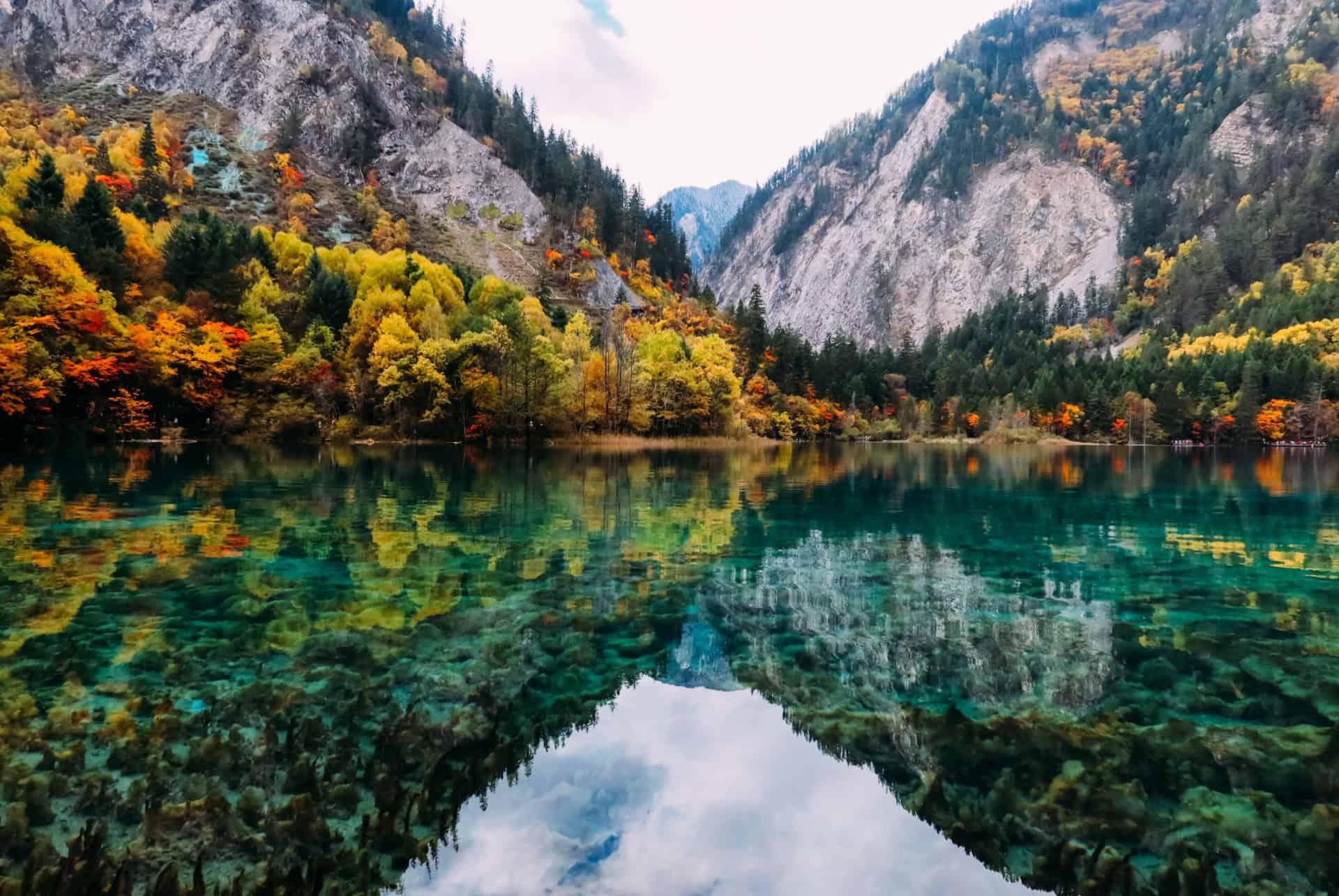 jiuzhaigou automne