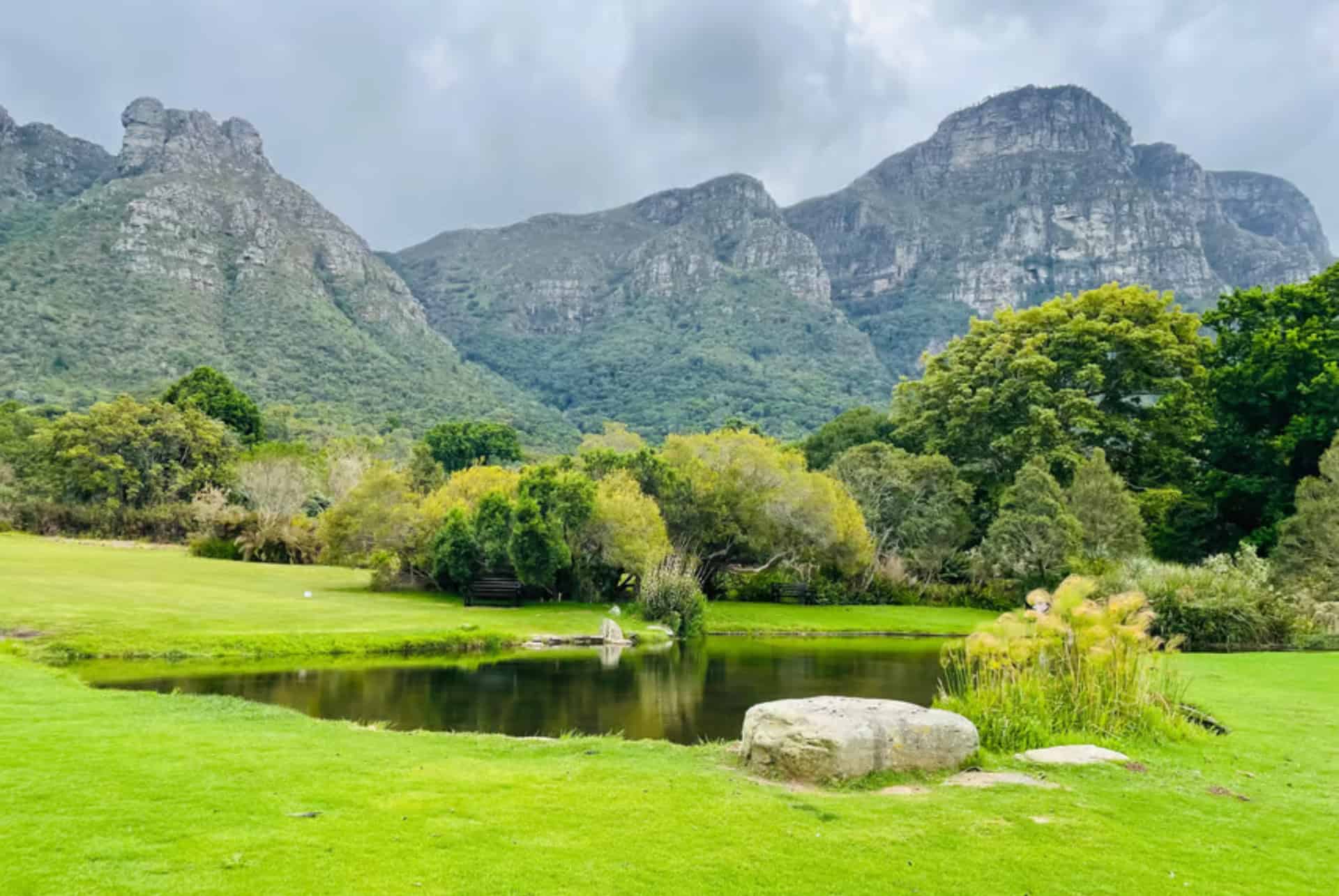 kirstenbosch cape town