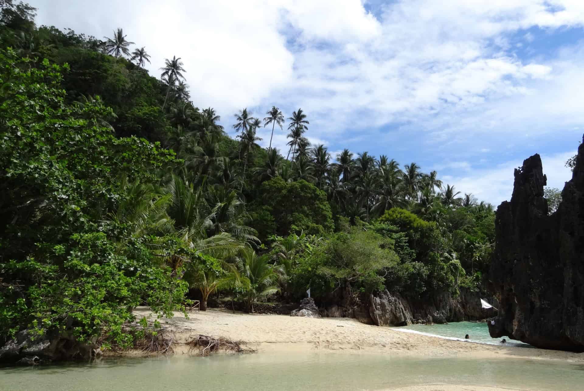 lapus lapus beach