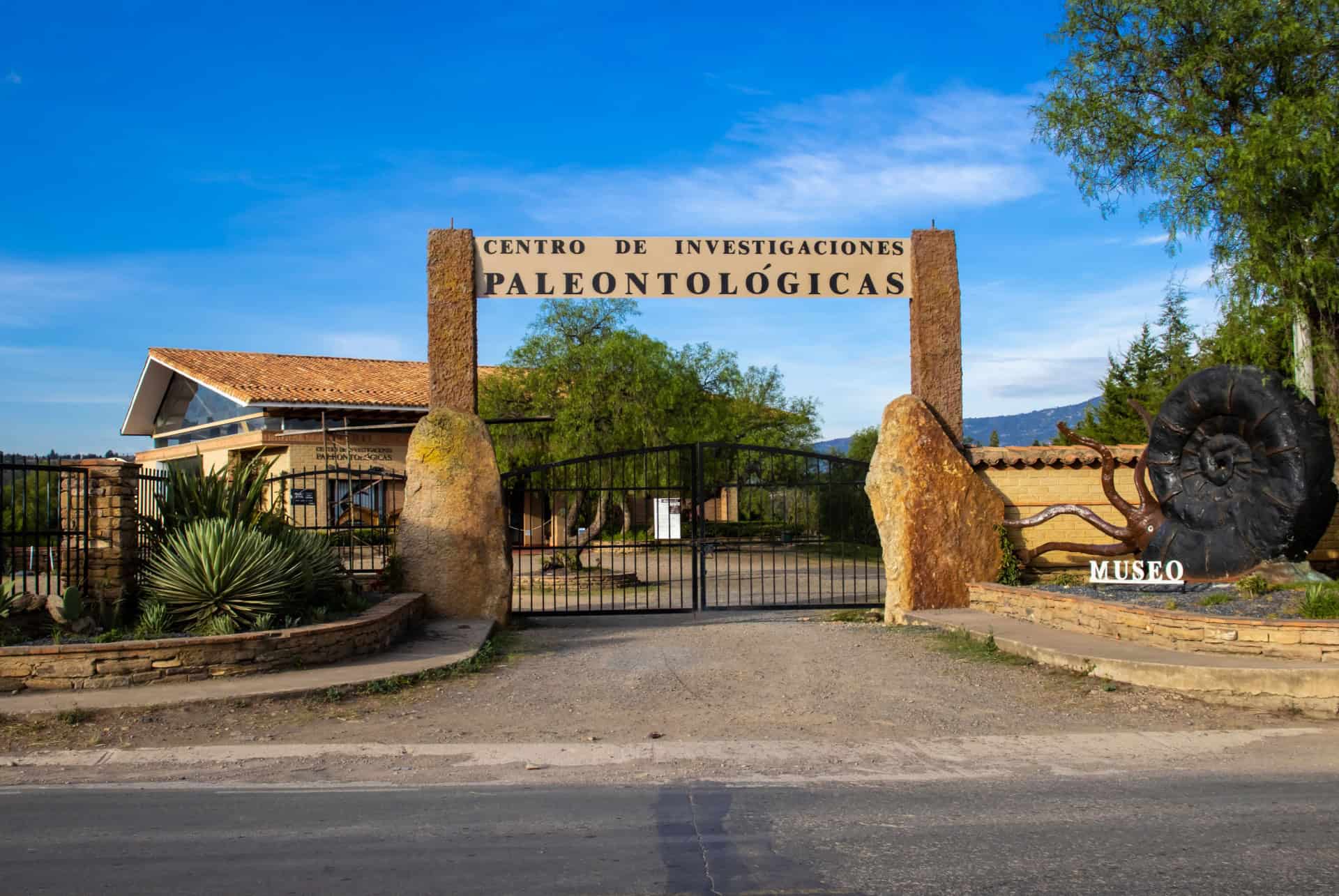 musee paleontologique villa de leyva