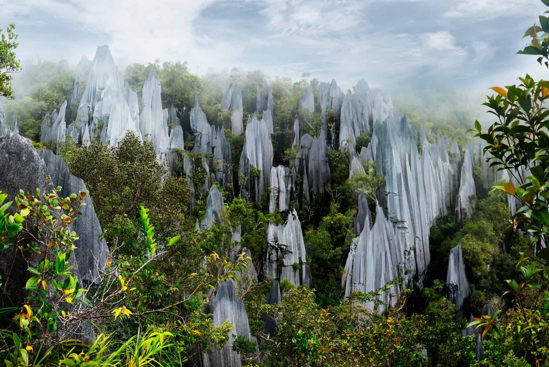 parc national gunung mulu malaisie